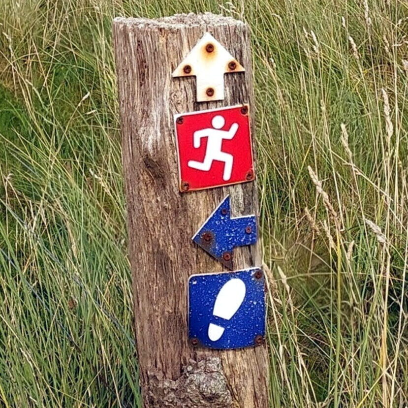 mary-heritage-life-coach-mentor-signpost-2 Signpost in a field of long grass
