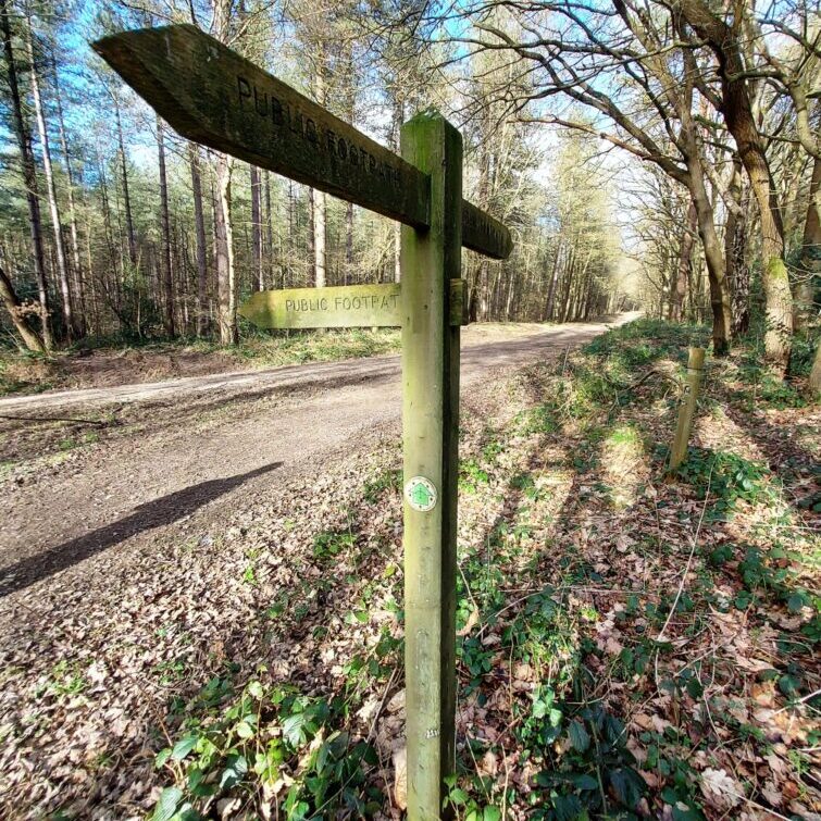 mary-heritage-life-coach-mentor-signpost Signpost in the woods on a sunny day in winter